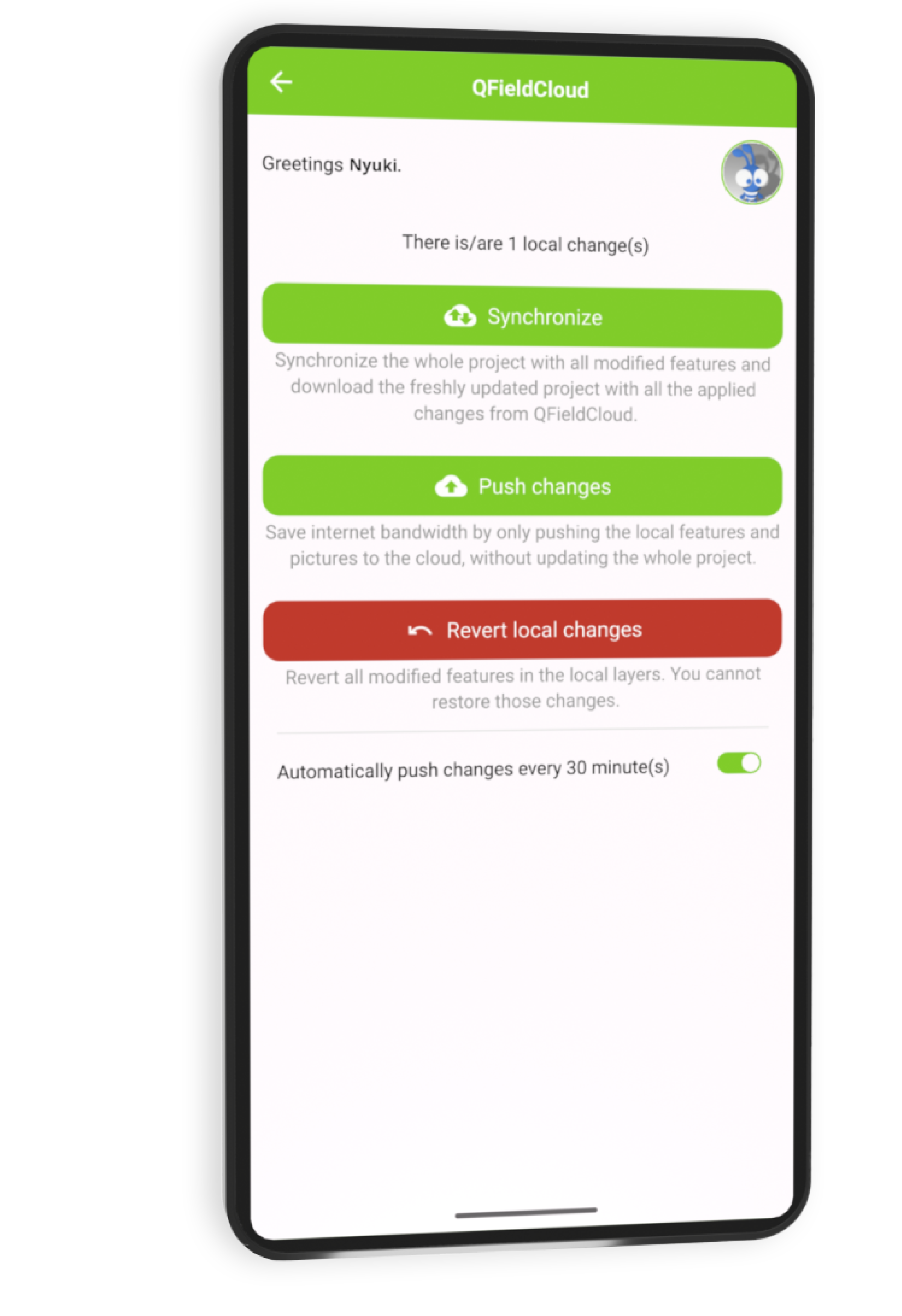 QFieldCloud synchronisation interface