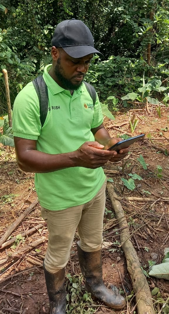 Young Farmers Use QField to Reduce Deforestation by 71% in Ghana's Forests