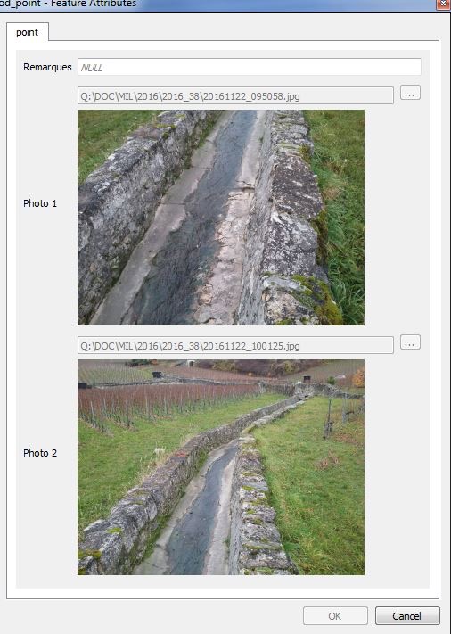 River State Survey using QField
