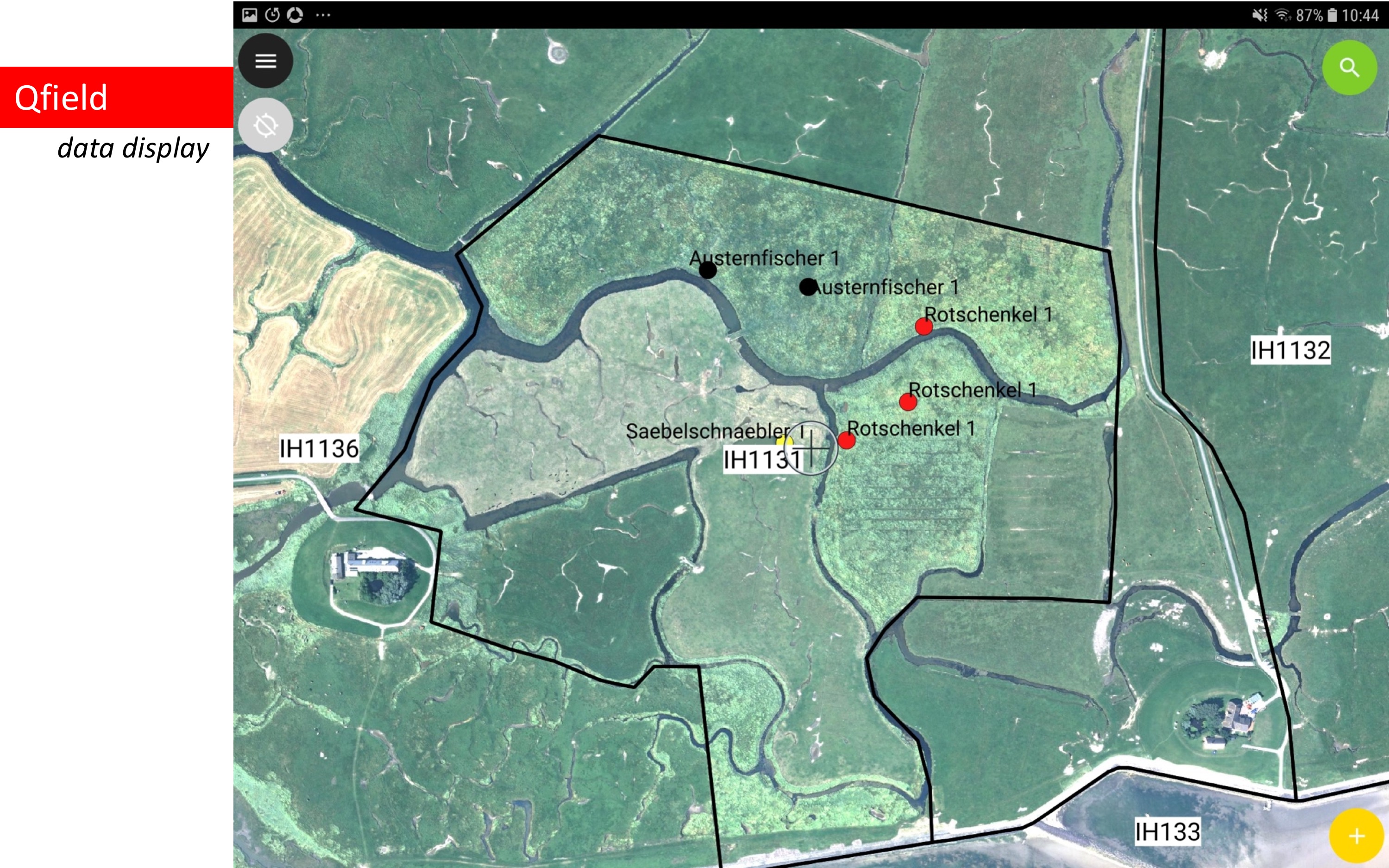 Use of QField for mapping breeding birds in the Wadden Sea