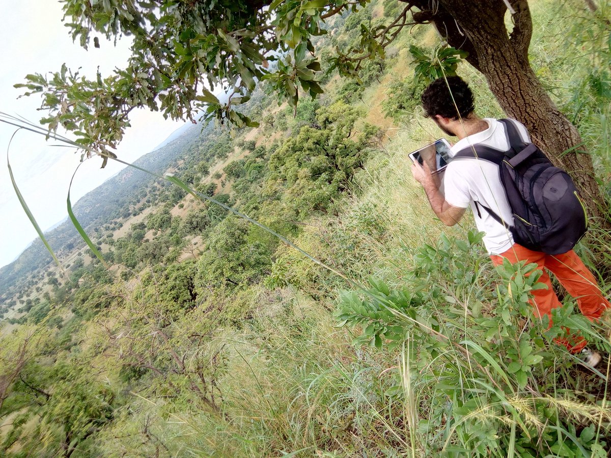 field work with QField