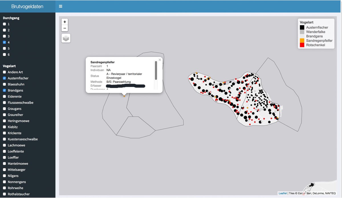 visual review of the collected data