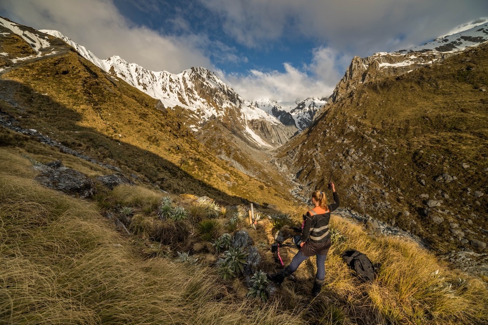 field team coordination